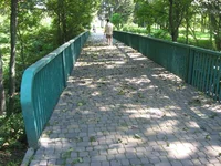 IMG_4990.webp