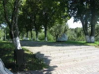 IMG_5000.webp
