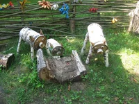 IMG_5001.webp
