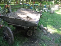 IMG_5004.webp