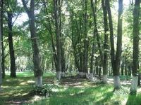 IMG_5015.webp