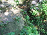 IMG_5020.webp