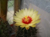 DSCN5454.webp