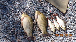 DSC06363.jpg