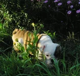 1010170.webp