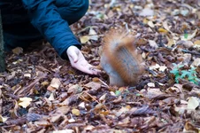 PICT0052.webp
