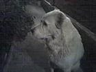 23-09-09_2011.webp