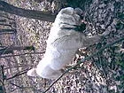 001_1_~1.webp