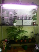 111 001.webp