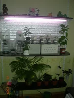 111 003.webp