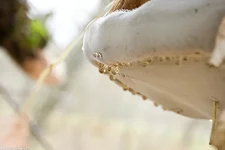 IMGP2943_.webp