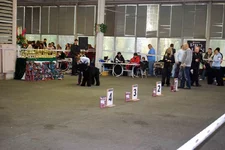 DSC_3865.webp