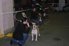 DSC_3932.webp