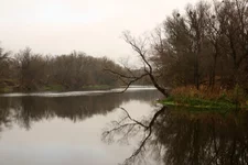 IMG_4616.jpg