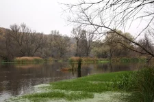 IMG_4622.jpg