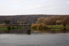 IMG_4656.jpg