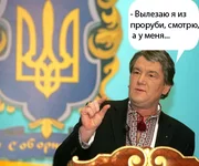 .webp