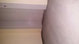 20160903_161025.webp