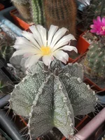 DSCN5588.webp