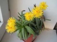 DSCN5444.jpg