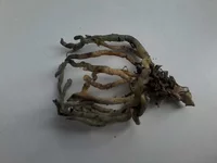 20160907_141536.jpg
