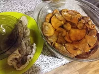 20160909_215052.webp
