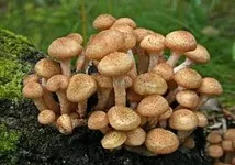  названия (1).webp