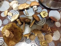 20160914_191158.webp
