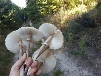 20160914_094004.webp