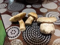 20160914_191604.webp
