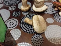 20160914_191632.webp