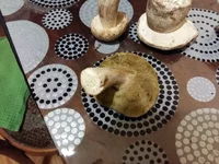 20160914_191624.webp