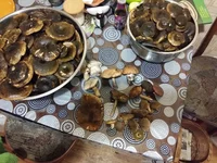 20160914_191117.webp