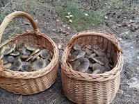 20160914_150051.webp