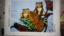 image3.webp