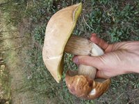 20160917_095912.jpg