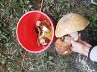 20160917_095926.jpg