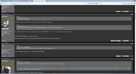 11.webp