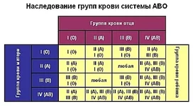 ABO_system.webp