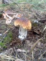 0140.webp