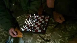 14370431_1280780315307915_4634976761957580982_n.webp