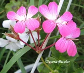 1-IMG_1871.webp
