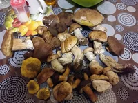20160922_192816.jpg