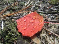 IMG_2030.webp