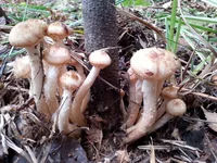 20160924_161046.jpg