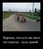 На Чугуїв.jpg