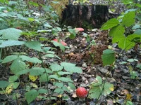 IMG_1050.webp