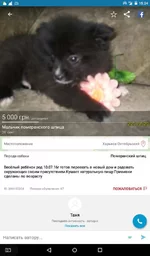 Screenshot_2016-09-28-15-24-22.webp