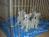 03.webp