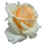 ee4ab1bf2c2a_p1.webp